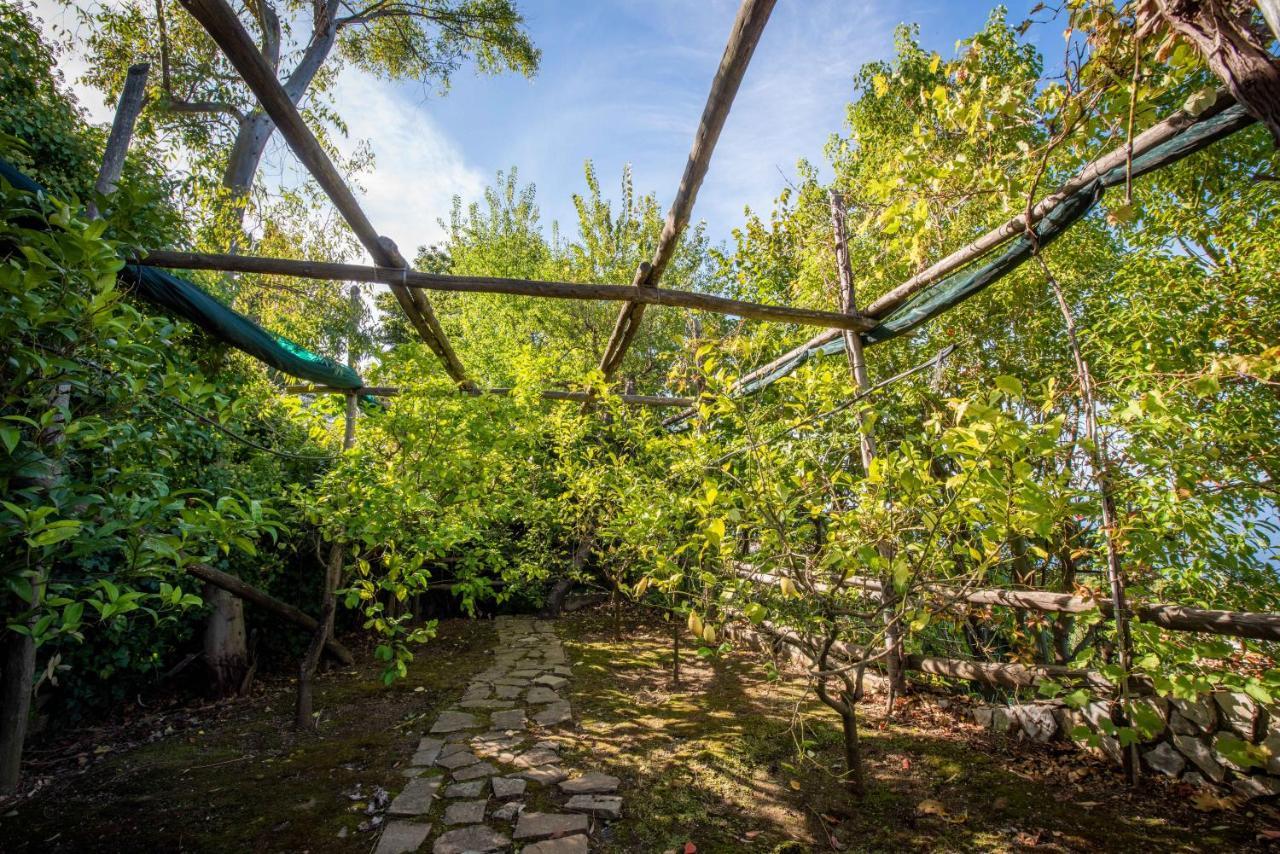 Casa Angelica Vila Sorrento Exterior foto